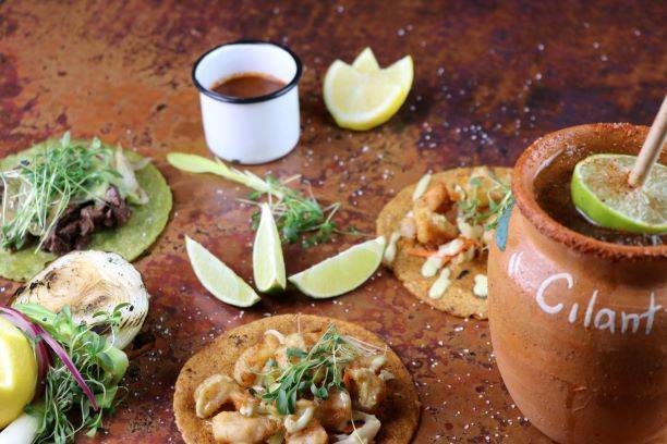 Cilantro Tacos Tequila Mezcal | restaurant | 1703 Federal Blvd, Denver, CO 80204, USA | 7206967939 OR +1 720-696-7939