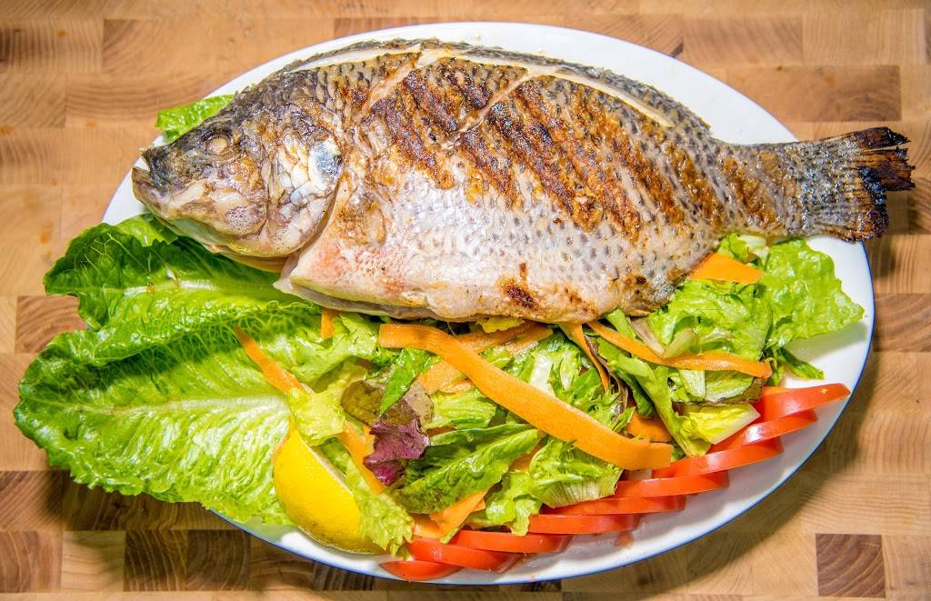 Memo Shish Kebab | restaurant | 1821 Kings Hwy, Brooklyn, NY 11229, USA | 7183398001 OR +1 718-339-8001