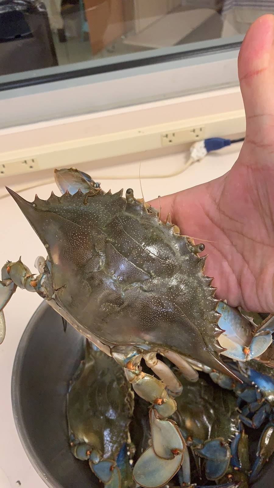 Judah & Son | restaurant | 13390 N Indian River Dr, Sebastian, FL 32958, USA | 7725895315 OR +1 772-589-5315