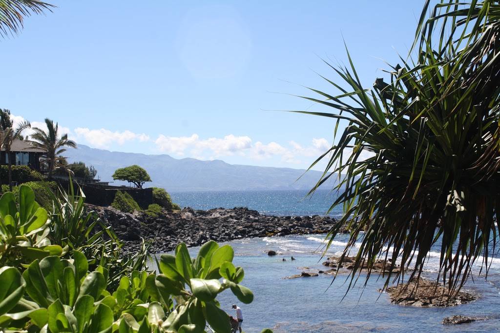 Subway | meal takeaway | 3700 Lapalco Blvd Unit F-1, Harvey, LA 70058, USA | 5043403871 OR +1 504-340-3871