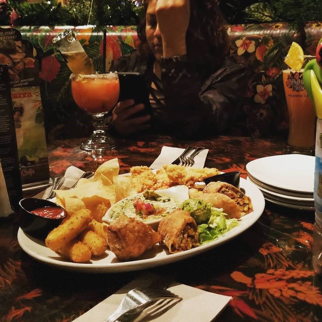Rainforest Cafe | restaurant | 2201 Boardwalk, Atlantic City, NJ 08401, USA | 6093455757 OR +1 609-345-5757