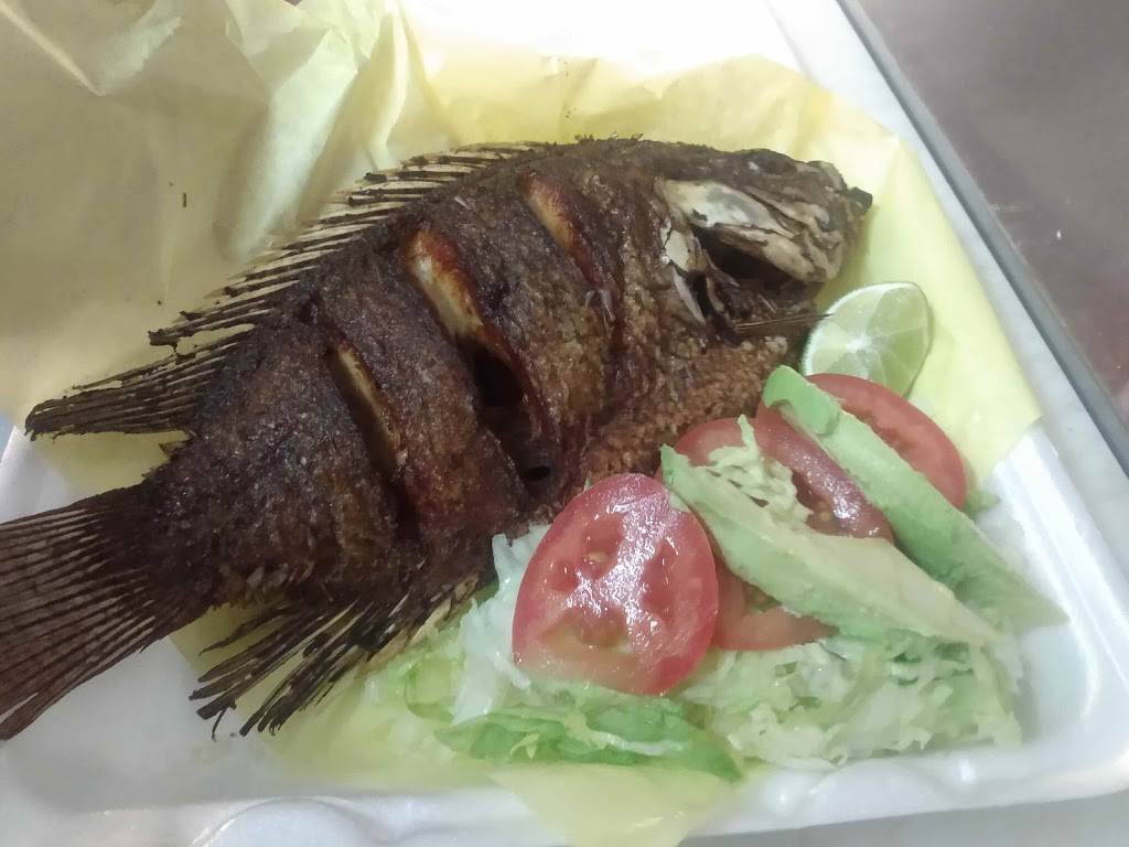 Savor a mi Tierra | restaurant | 416 San Diego St, Oceanside, CA 92058, USA | 7604332689 OR +1 760-433-2689