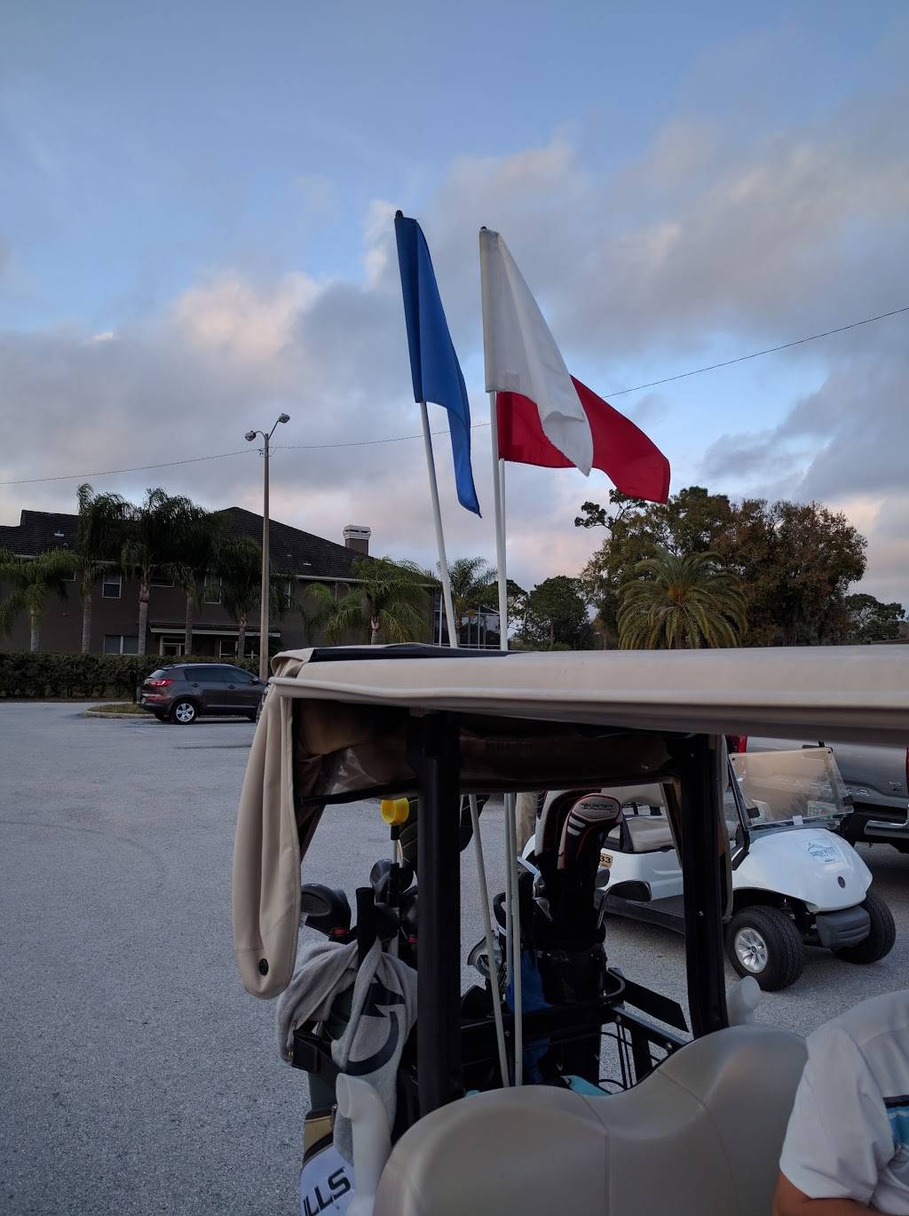 Tarpon Woods Golf Club | restaurant | 1100 Tarpon Woods Blvd, Palm Harbor, FL 34685, USA | 7277847606 OR +1 727-784-7606