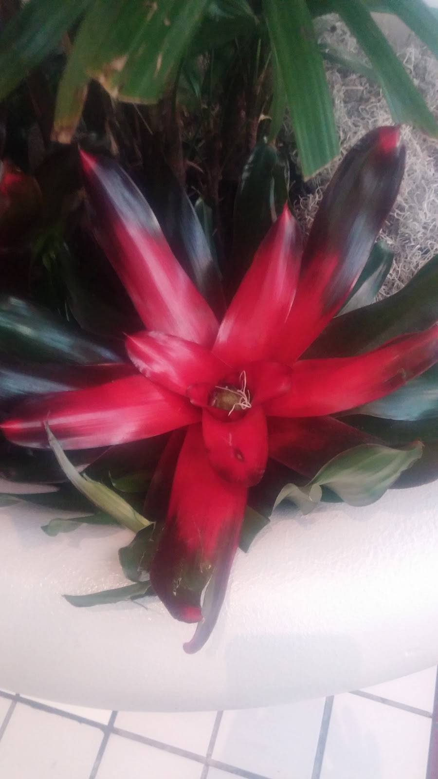 Panda Express | meal takeaway | 2800 N Main St #912, Santa Ana, CA 92705, USA | 7145501116 OR +1 714-550-1116