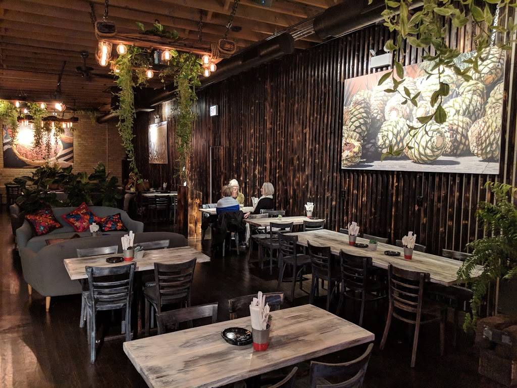 Rojo Gusano | restaurant | 4217 N Ravenswood Ave, Chicago, IL 60613, USA | 7733601628 OR +1 773-360-1628