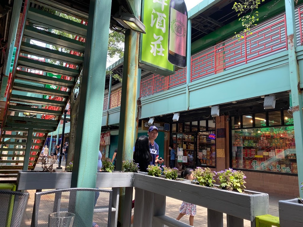 Veggie House | restaurant | 2109 S China Pl, Chicago, IL 60616, USA | 3123269966 OR +1 312-326-9966