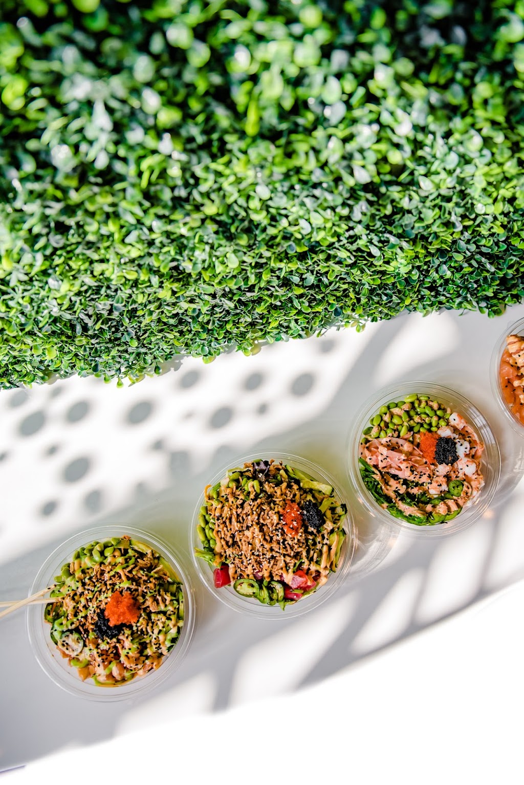 Aloha Poke Co. | restaurant | 98 W Grand Pkwy S #160, Katy, TX 77494, USA | 3463876075 OR +1 346-387-6075