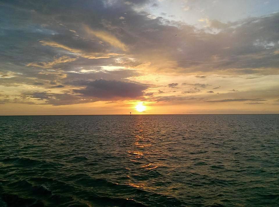 Marco Island Princess | restaurant | 951 Bald Eagle Dr, Marco Island, FL 34145, USA | 2396425415 OR +1 239-642-5415