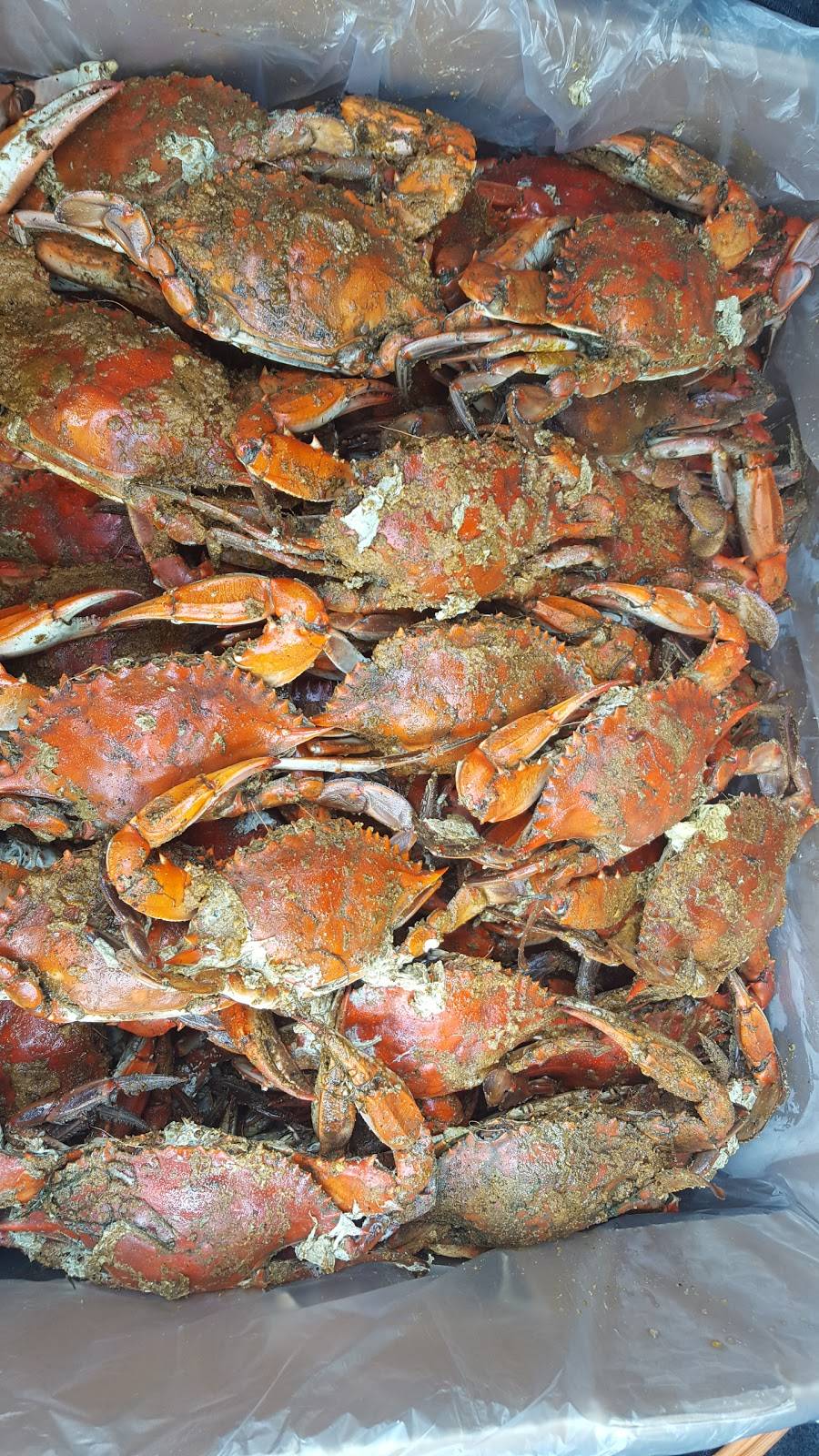 Captain Bobs | restaurant | 609 S West End Blvd, Quakertown, PA 18951, USA | 2155380773 OR +1 215-538-0773