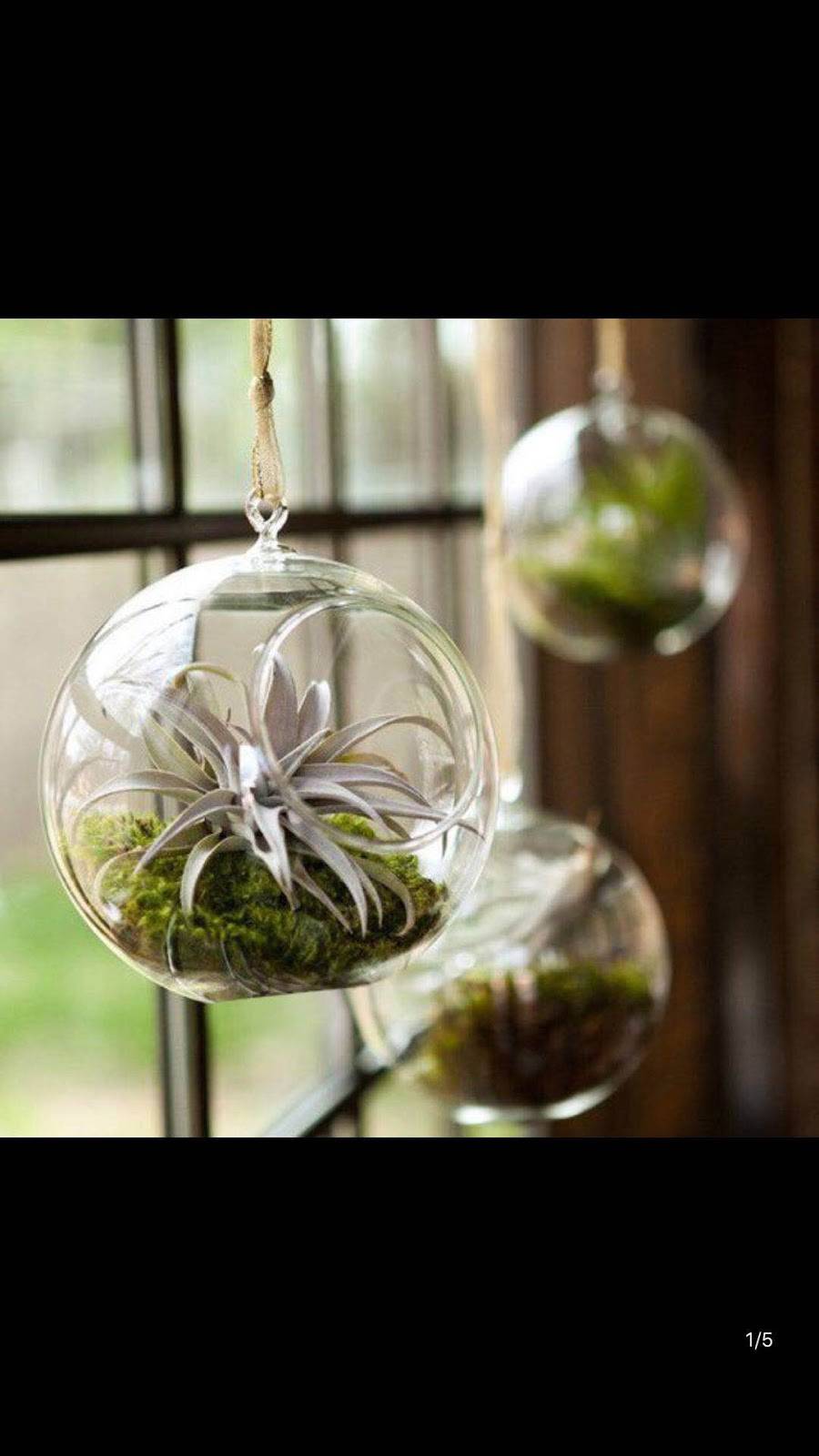 Oishii Poke | restaurant | 406 14th Ave SE, Minneapolis, MN 55414, USA | 6122009292 OR +1 612-200-9292