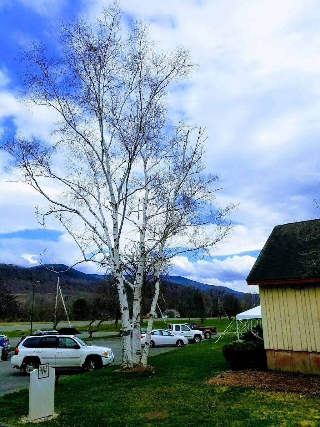 The W Bar + Grill | restaurant | 137 New Ashford Rd, Williamstown, MA 01267, USA | 4134585869 OR +1 413-458-5869