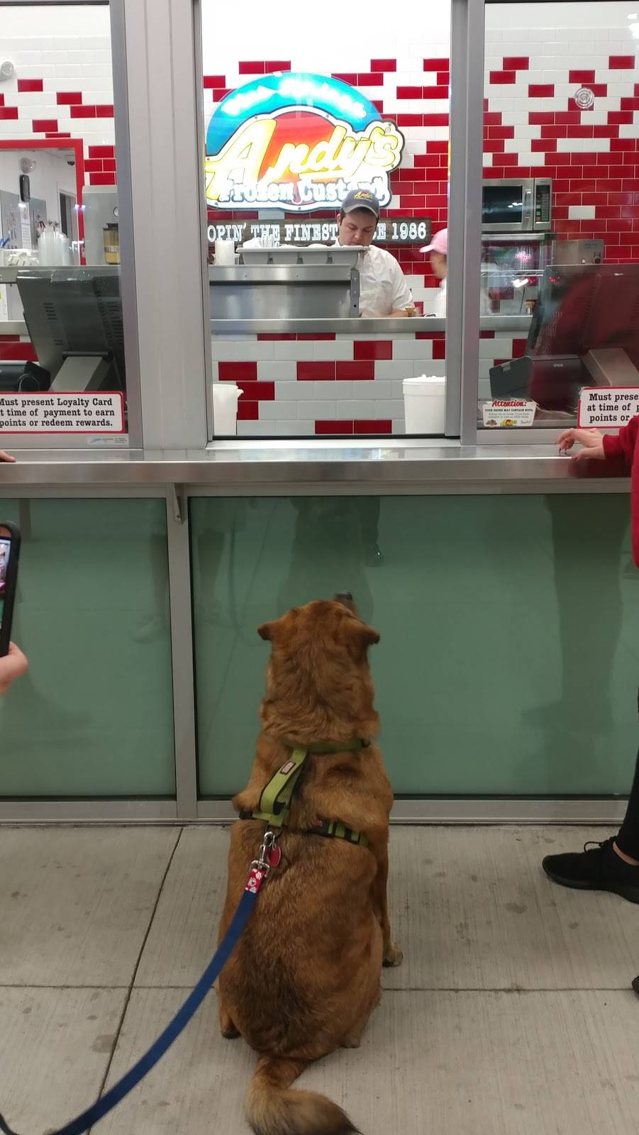 Applebees Grill + Bar | restaurant | 1100 NW Hwy 7, Blue Springs, MO 64014, USA | 8162284338 OR +1 816-228-4338