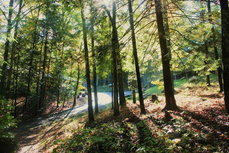 Mulberry Gap - Adventure Basecamp | restaurant | 400 Mulberry Gap Rd, Ellijay, GA 30540, USA | 7066982865 OR +1 706-698-2865