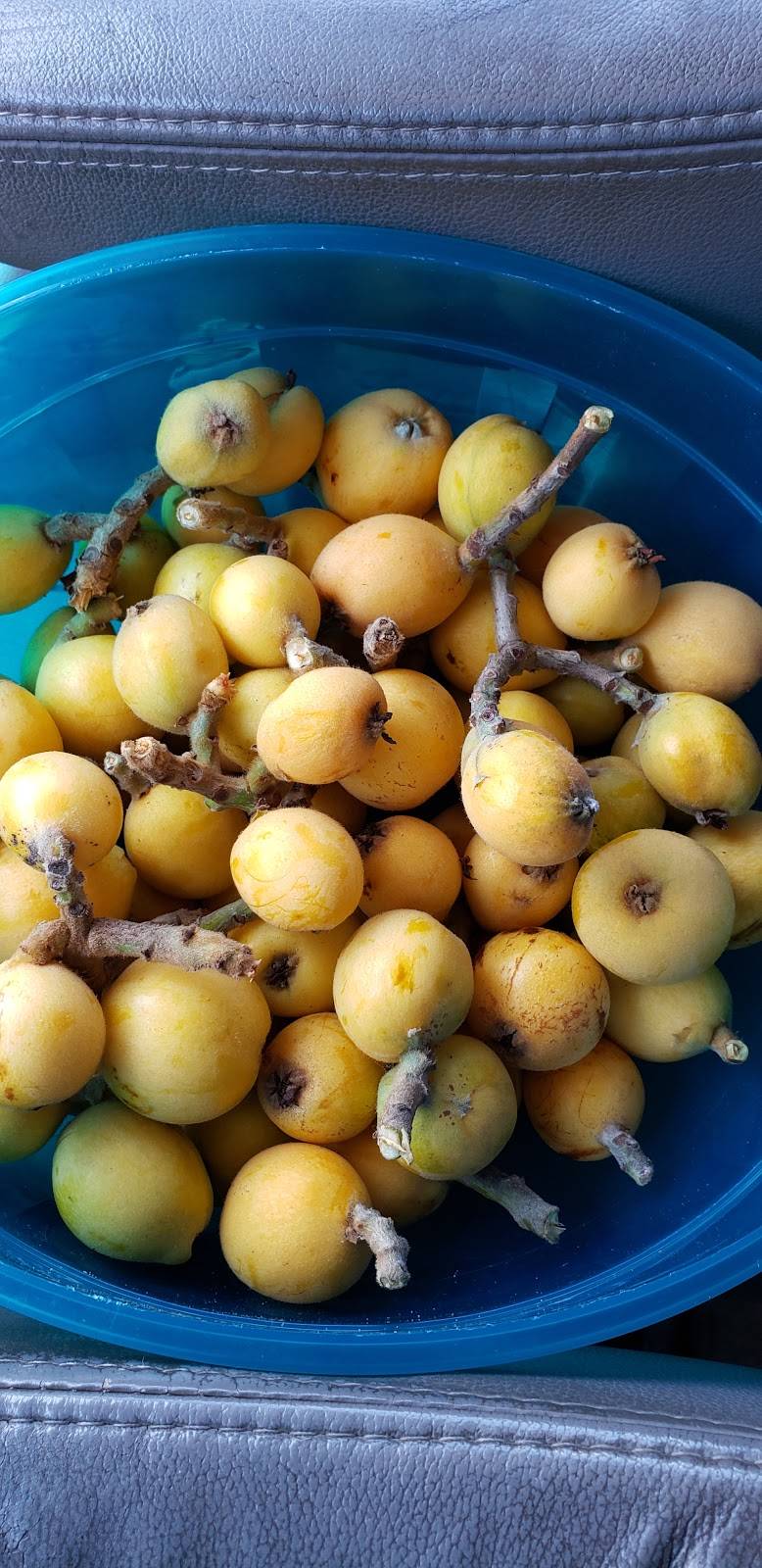 Dagwoods Deli & Sports Bar | restaurant | 600 US-17 BUS, Surfside Beach, SC 29575, USA | 8438284600 OR +1 843-828-4600