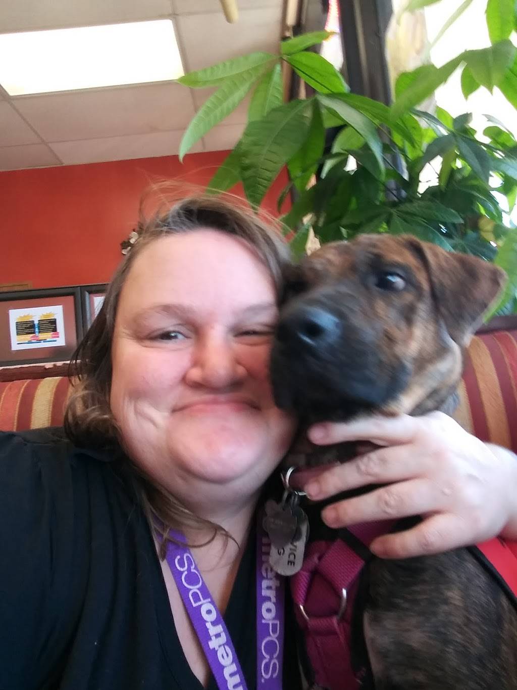 Horn Of Africa Deli Restaurant | restaurant | 5930 Renwick Dr # D, Houston, TX 77081, USA | 7138381111 OR +1 713-838-1111