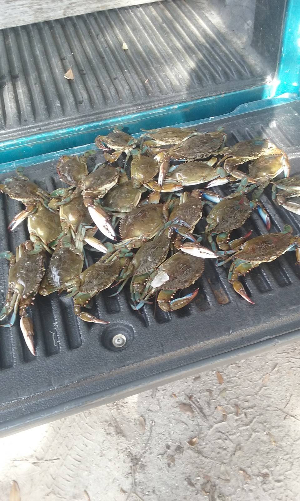 Palm Gardens Restaurant and Marina | restaurant | 1661 Palm Garden St, Tavares, FL 32778, USA | 3523432024 OR +1 352-343-2024