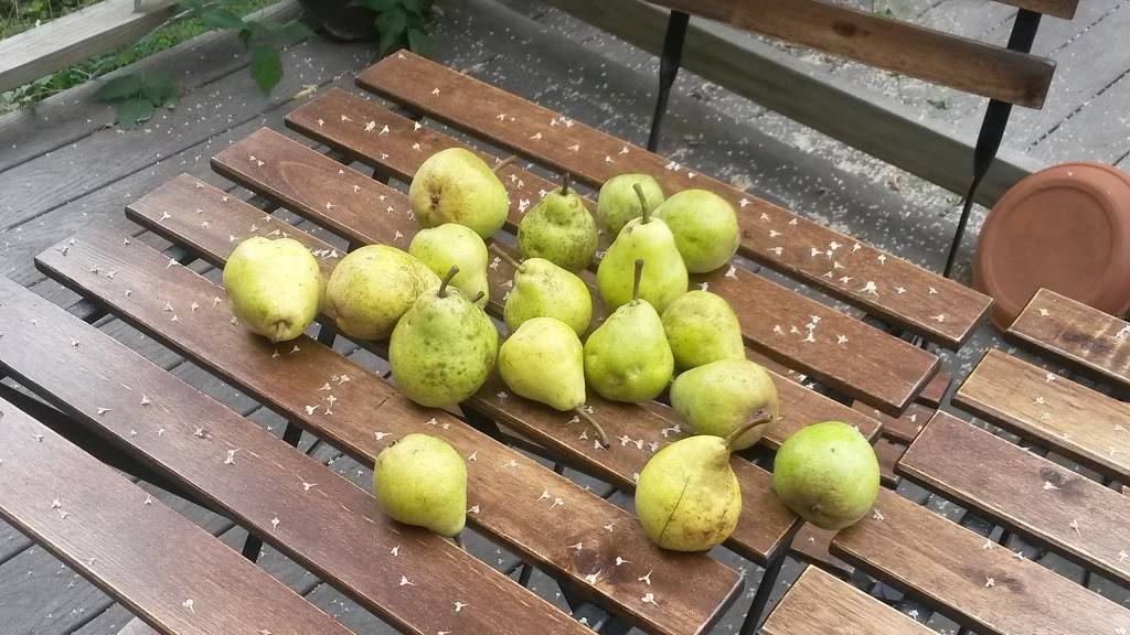 Butterfields Cafe Inc | restaurant | 16 Division St, Deposit, NY 13754, USA | 6074673111 OR +1 607-467-3111