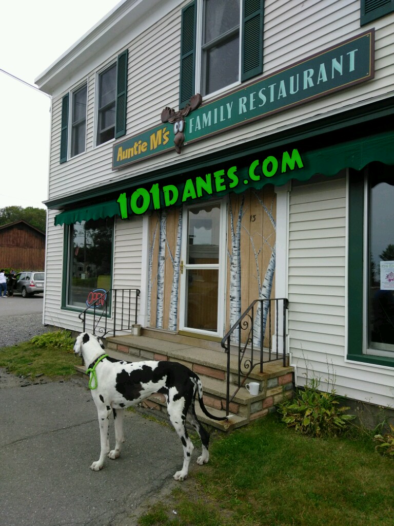Auntie Ms | restaurant | 13 Lily Bay Rd, Greenville, ME 04441, USA | 2076952238 OR +1 207-695-2238