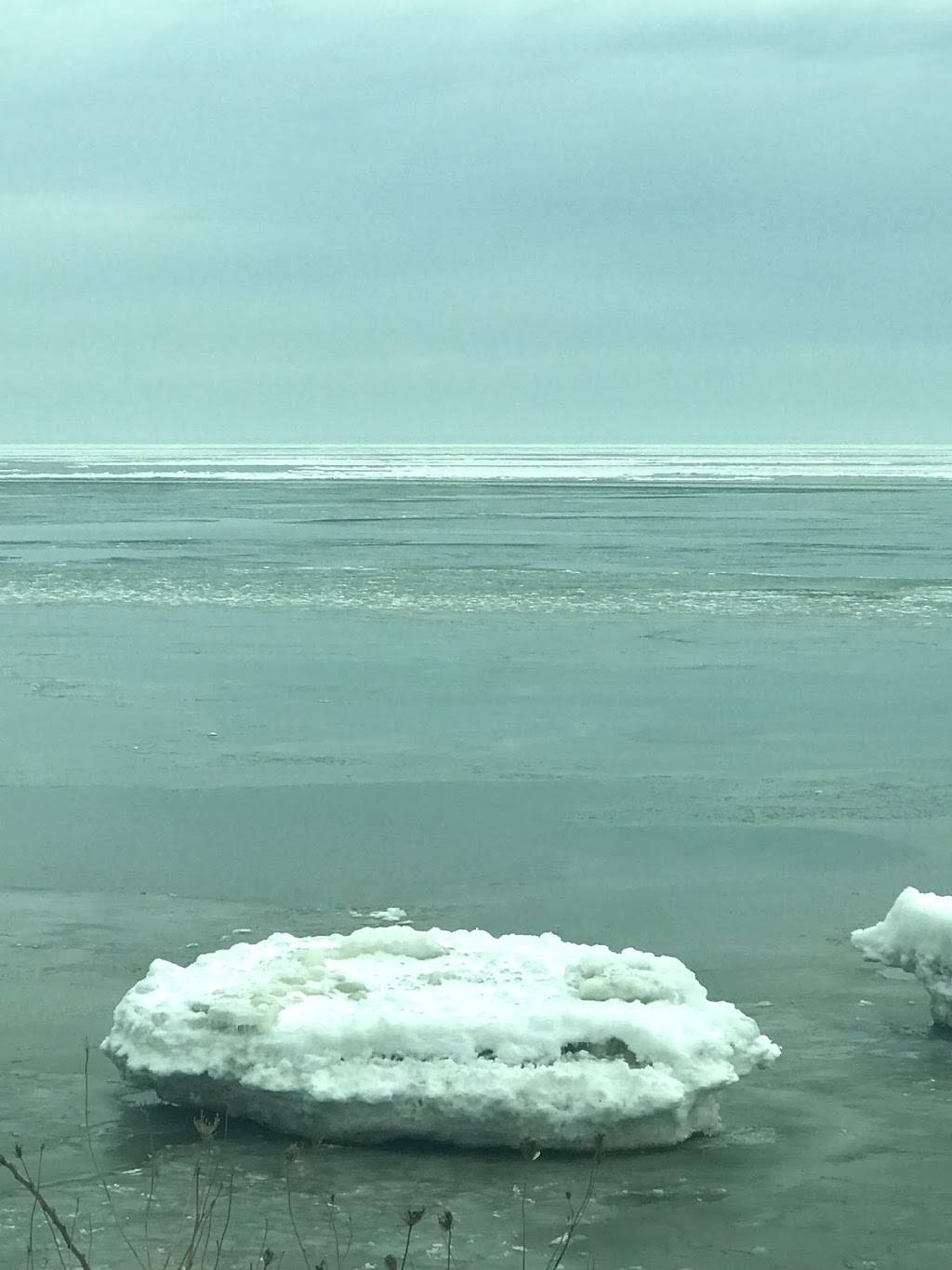 Shed The | restaurant | 301 Main St, Port Dover, ON N0A 1N0, Canada | 5195831881 OR +1 519-583-1881