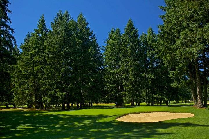 Lake Spanaway Golf Course | restaurant | 15602 Pacific Ave S, Tacoma, WA 98444, USA | 2535313660 OR +1 253-531-3660