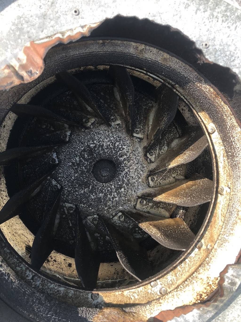 Aqua Clean | restaurant | 5703 S Washington Rd, Columbia City, IN 46725, USA | 2602440233 OR +1 260-244-0233