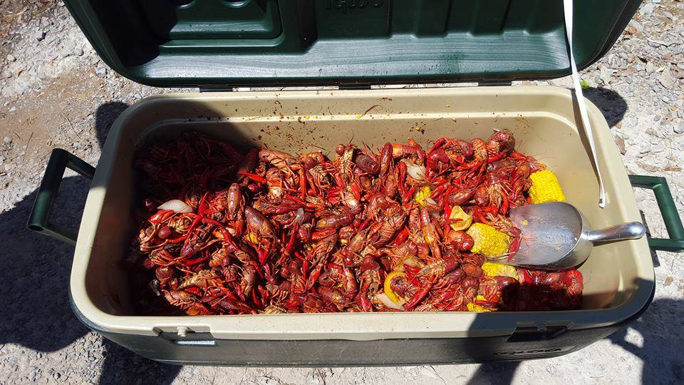 Good Hope Grocery | restaurant | 2253 Co Rd 437, Cullman, AL 35057, USA | 2567392591 OR +1 256-739-2591