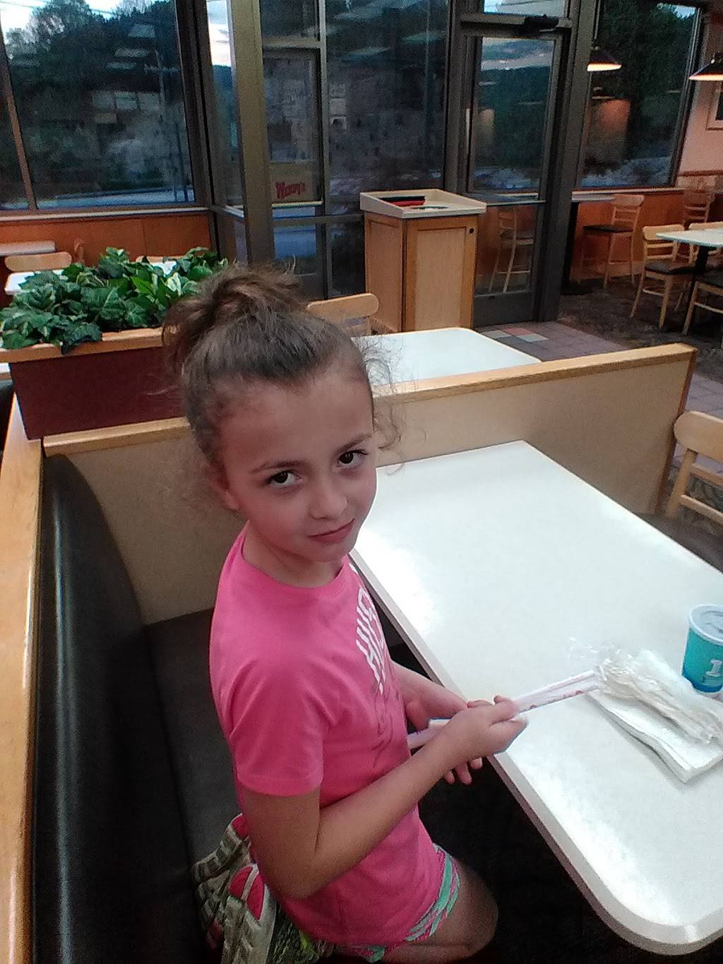 Wendys | restaurant | 1990 Enterprise Pl, Kingsport, TN 37660, USA | 4232464532 OR +1 423-246-4532