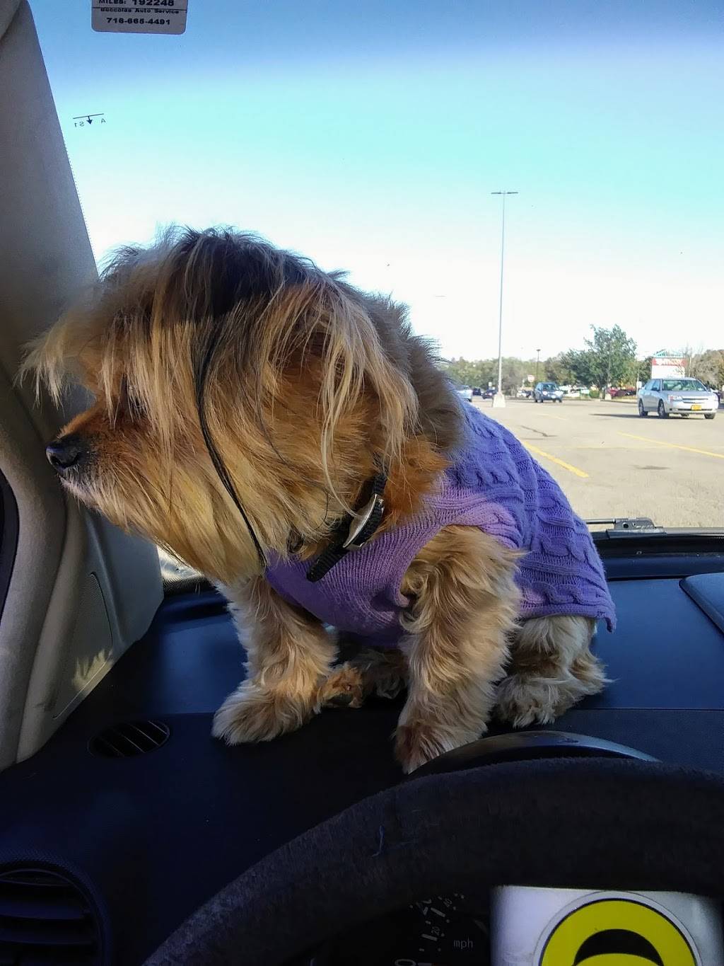 Tim Hortons | restaurant | 277 E Fairmount Ave, Lakewood, NY 14750, USA | 7167630655 OR +1 716-763-0655