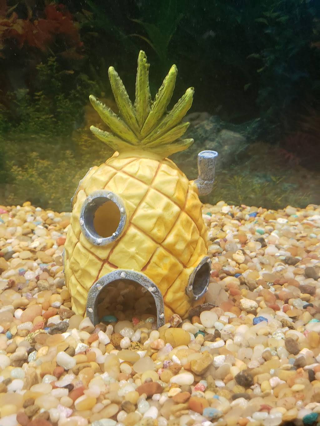 Ichiban Japanese Steakhouse & Sushi Bar #2 | restaurant | 5621 Brainerd Rd, Chattanooga, TN 37411, USA | 4238920404 OR +1 423-892-0404