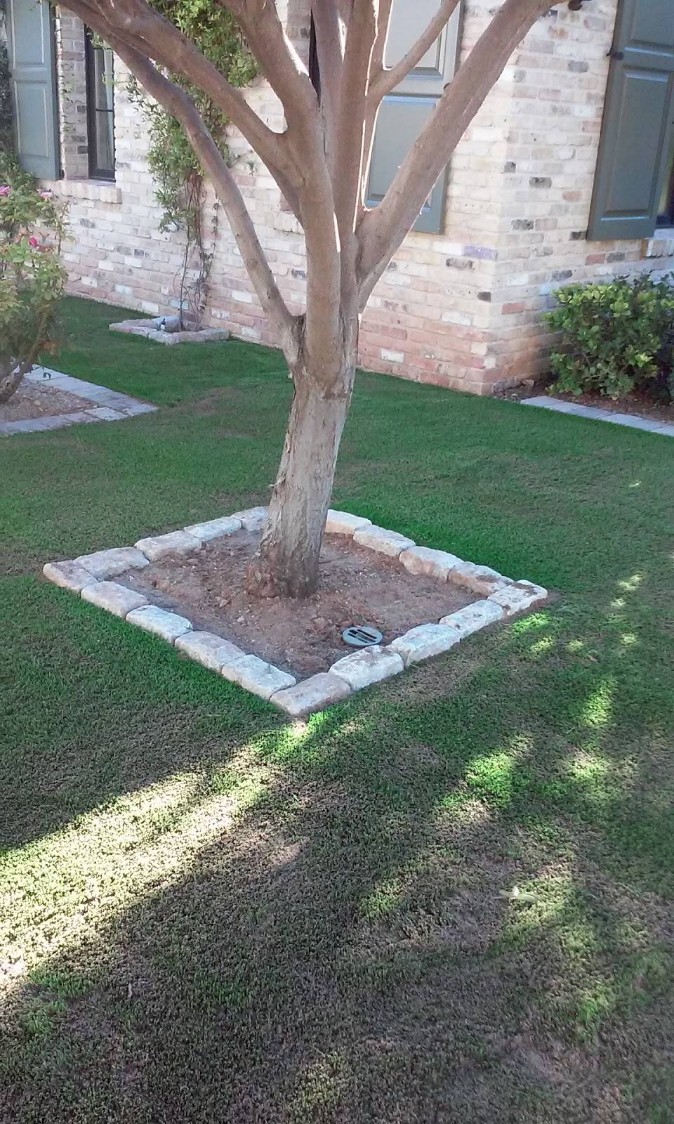 JG Steakhouse | restaurant | 6000 E Camelback Rd, Scottsdale, AZ 85251, USA | 4809418200 OR +1 480-941-8200