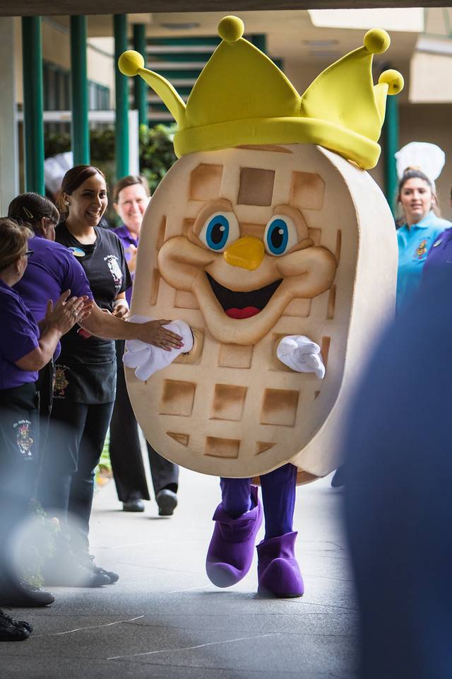 The Waffle Spot | restaurant | 1333 Hotel Cir S, San Diego, CA 92108, USA | 6192972231 OR +1 619-297-2231