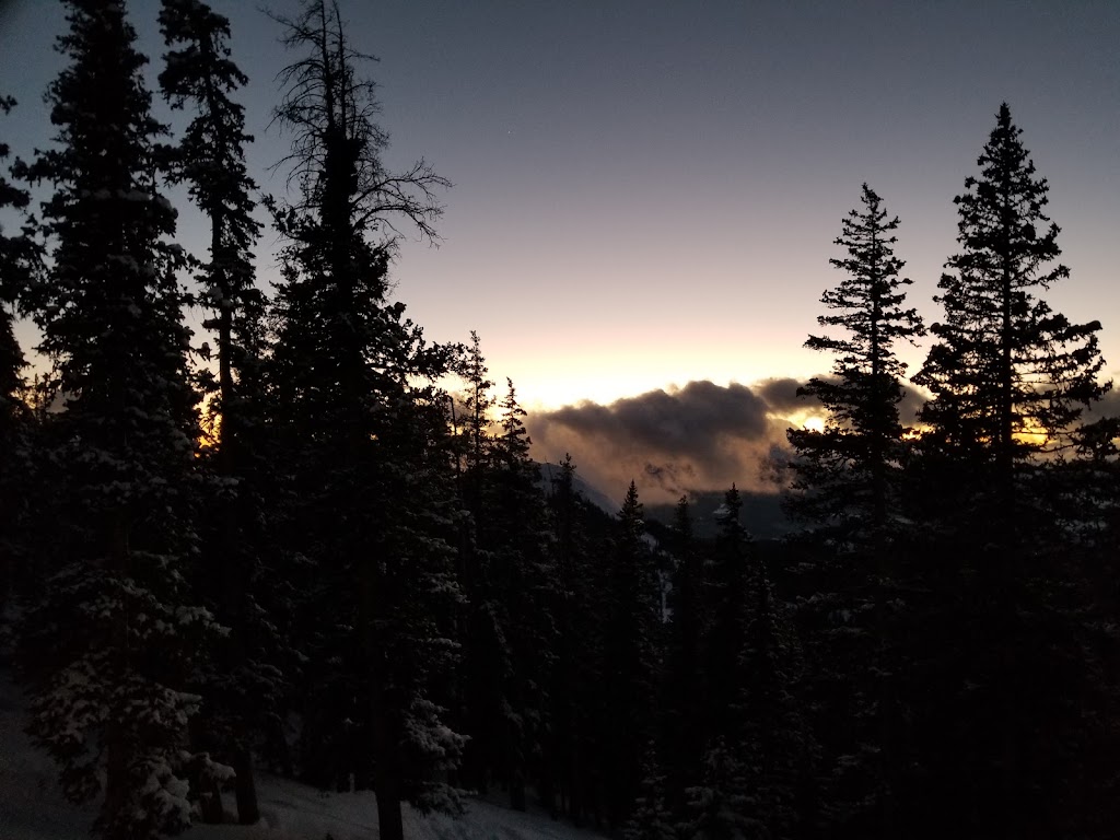 Alpino Vino | restaurant | 12100 Camels Garden Rd, Colorado 81320, USA | 9707287560 OR +1 970-728-7560