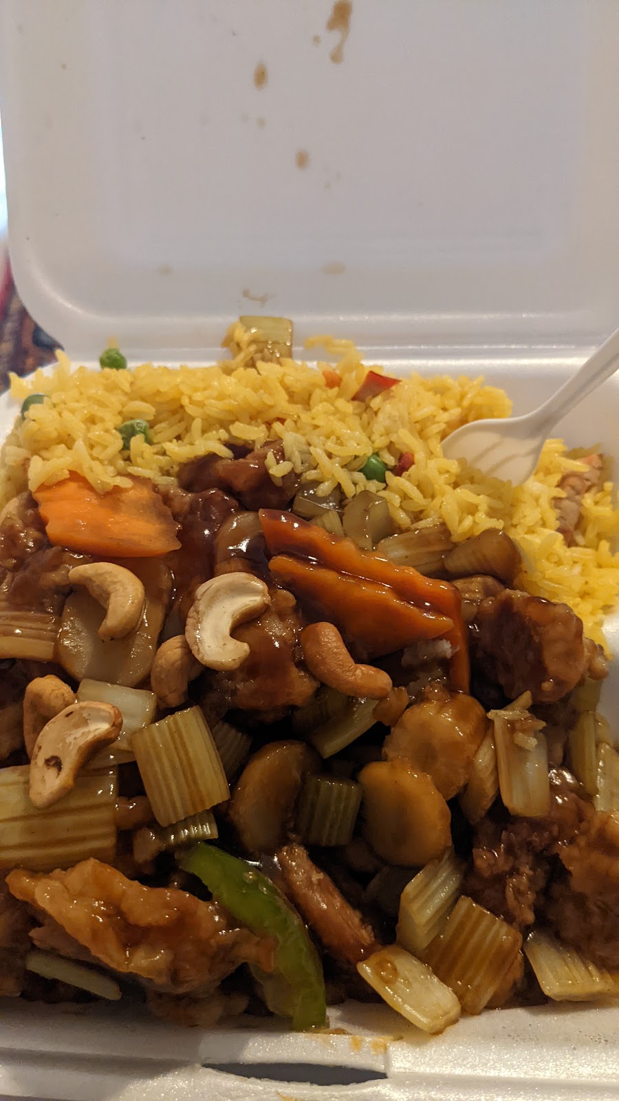 China Gate | restaurant | 14957 N Florida Ave, Tampa, FL 33613, USA | 8139087788 OR +1 813-908-7788