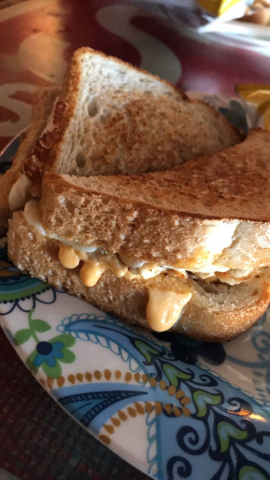 Sarbez! | night club | 115 Anastasia Blvd, St. Augustine, FL 32080, USA | 9043420632 OR +1 904-342-0632