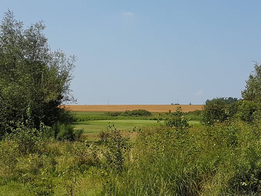 Beaverdale Golf Club | restaurant | 1171 Kossuth Rd, Cambridge, ON N3C 2V3, Canada | 8888338787 OR +1 888-833-8787