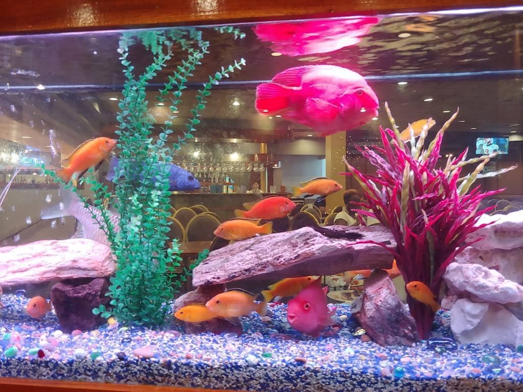 Lambo Chinese Buffet | restaurant | 6159 Westheimer Rd, Houston, TX 77057, USA | 7137836838 OR +1 713-783-6838