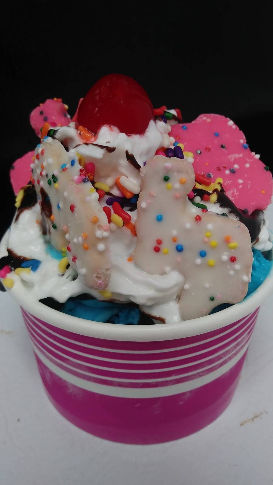 Chunky Monkey Ice Cream and Sweets | restaurant | 590 IN-67, Mooresville, IN 46158, USA | 3173503784 OR +1 317-350-3784