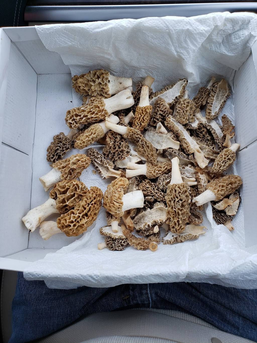 Frank Papas Ristorante | restaurant | 2241 S Brentwood Blvd, St. Louis, MO 63144, USA | 3149613344 OR +1 314-961-3344