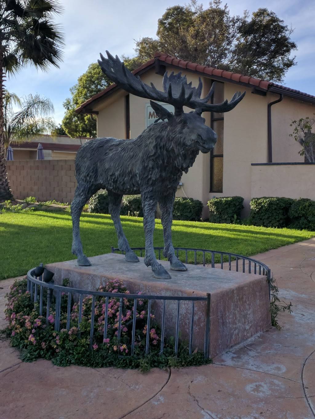 Ameci Pizza & Pasta | meal delivery | 10225 Telephone Rd, Ventura, CA 93004, USA | 8056594483 OR +1 805-659-4483