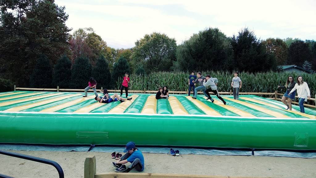 Spring Meadow Station | restaurant | 15513 Hanover Pike, Upperco, MD 21155, USA | 4108337826 OR +1 410-833-7826