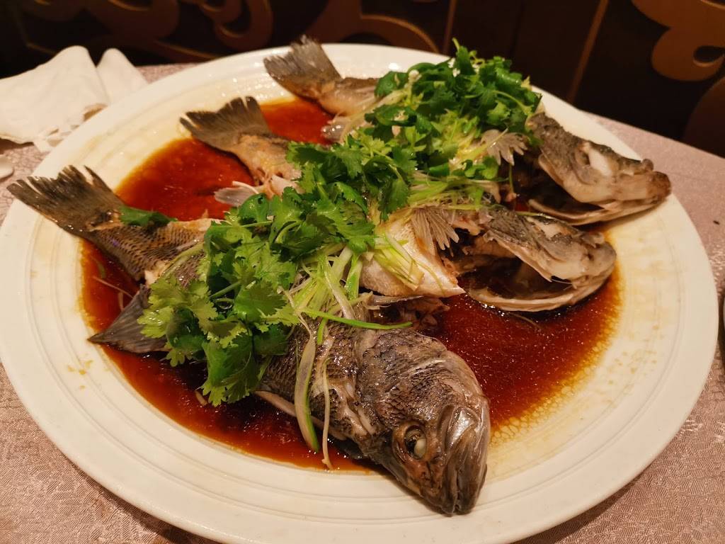 Casa-Imperial Restaurant | restaurant | 4125 Steeles Ave E, Scarborough, ON M1W 3T4, Canada | 4167562788 OR +1 416-756-2788