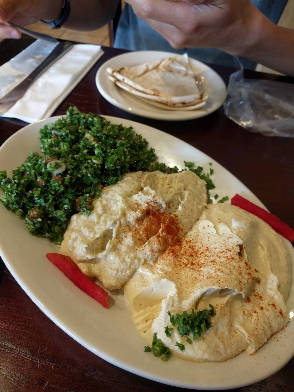 Asya Middle Eastern Cuisine | restaurant | 31011 John R Rd, Madison Heights, MI 48071, USA | 2483978485 OR +1 248-397-8485