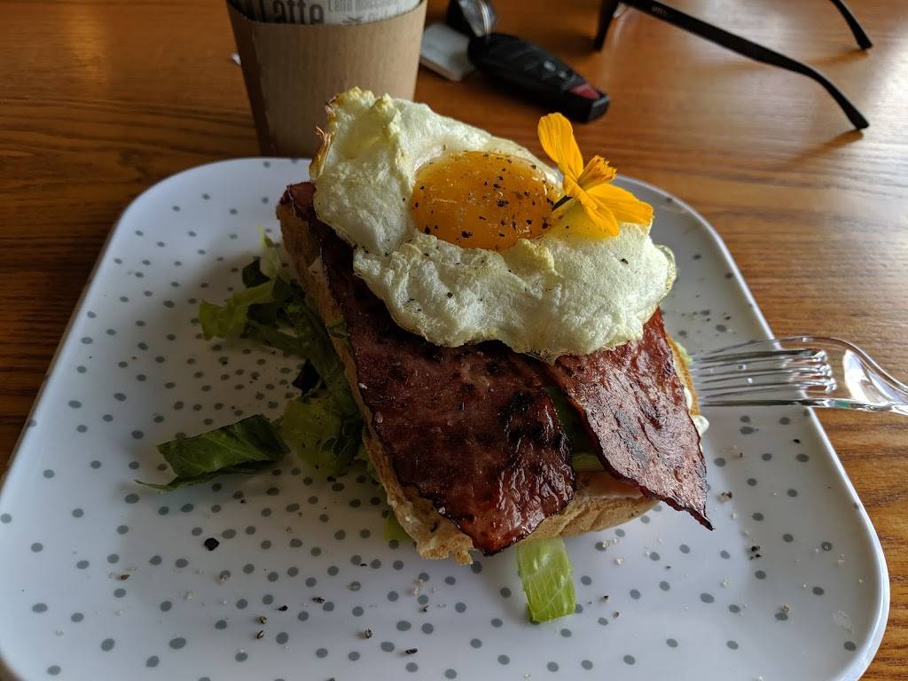 Mad Hatter Cafe | restaurant | 501 W Main St Unit b, Salisbury, MD 21801, USA | 4437363165 OR +1 443-736-3165