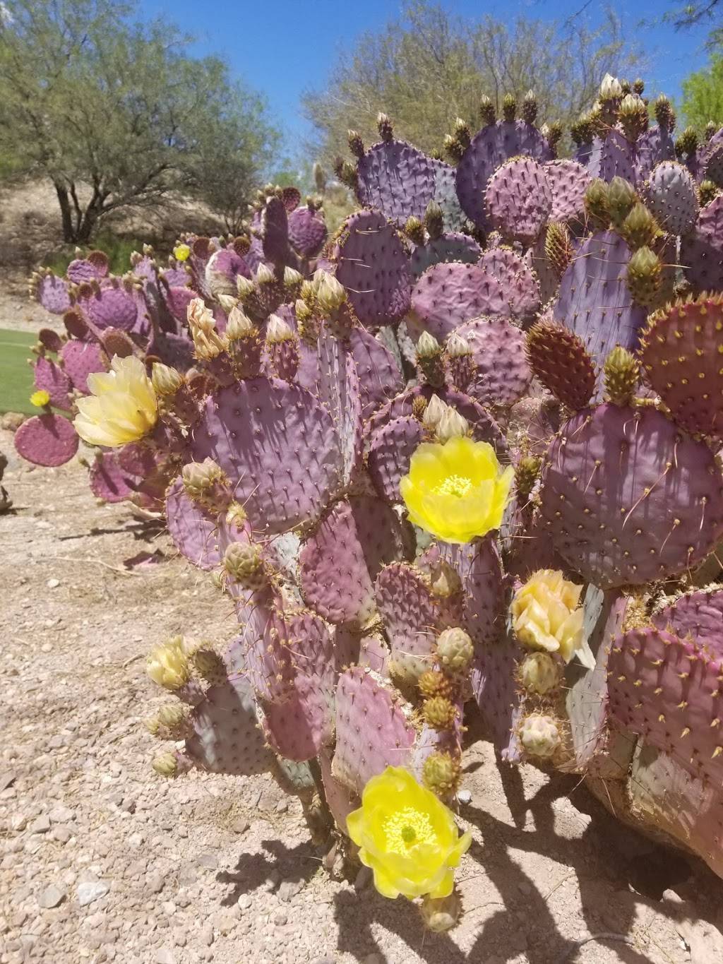 Cascata | restaurant | JFK Access Rd, Jamaica, NY 11430, USA | 7185532091 OR +1 718-553-2091