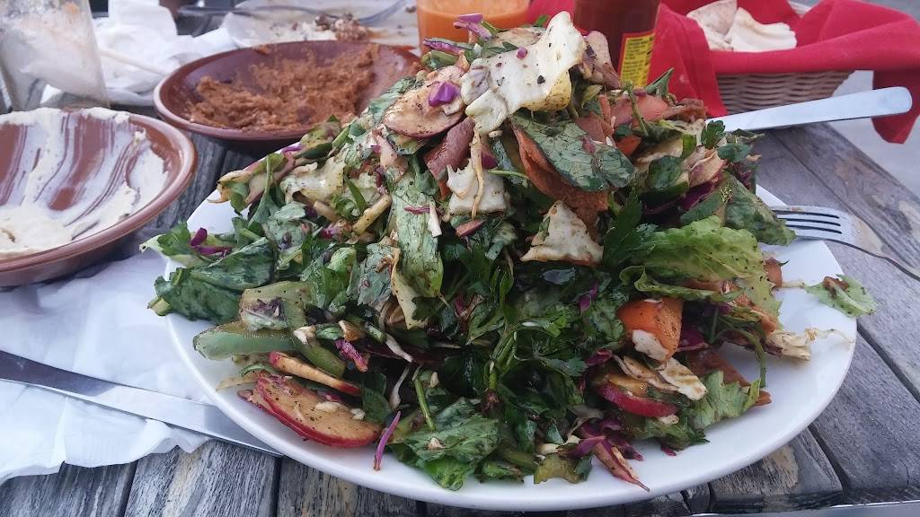 Maza Middle Eastern Cuisine | restaurant | 2449 Mickley Ave, Whitehall, PA 18052, USA | 6104379999 OR +1 610-437-9999