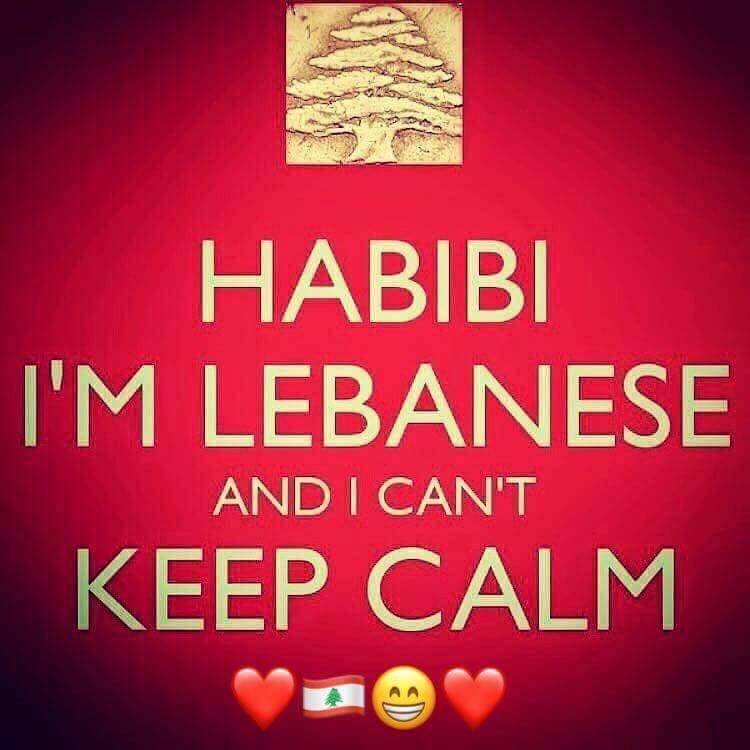 Al Cham Resto Cafe | restaurant | 5067 Rue de Savoie, Pierrefonds, QC H8Z 1C4, Canada | 5146853264 OR +1 514-685-3264