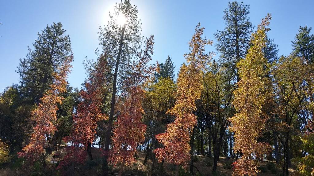 Smokey Ridge Ranch - Apple Hill #133 | restaurant | 2160 Carson Rd, Placerville, CA 95667, USA | 5306265077 OR +1 530-626-5077