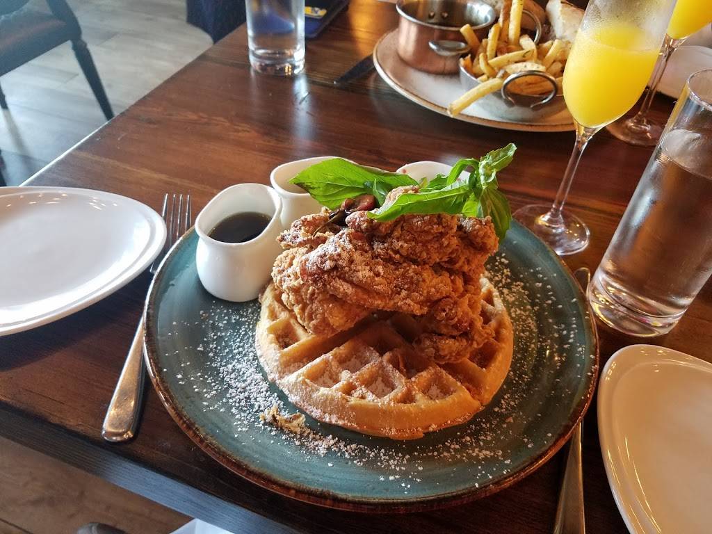 Doma Land + Sea | restaurant | 490 Chestnut St, Cedarhurst, NY 11516, USA | 5168817712 OR +1 516-881-7712