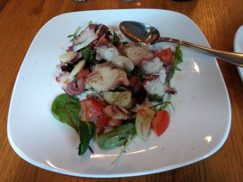 Moya | restaurant | 24 Race St, Jim Thorpe, PA 18229, USA | 5703258530 OR +1 570-325-8530