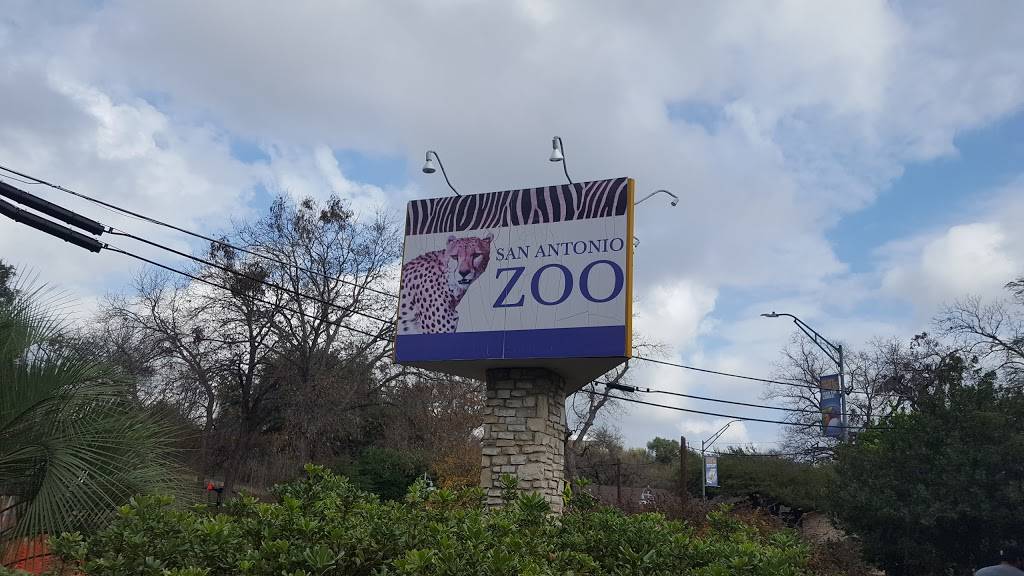 Train Cafe | restaurant | 3910 N St Marys St, San Antonio, TX 78212, USA | 2107357522 OR +1 210-735-7522